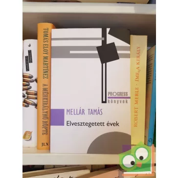 Mellár Tamás: Elvesztegetett évek