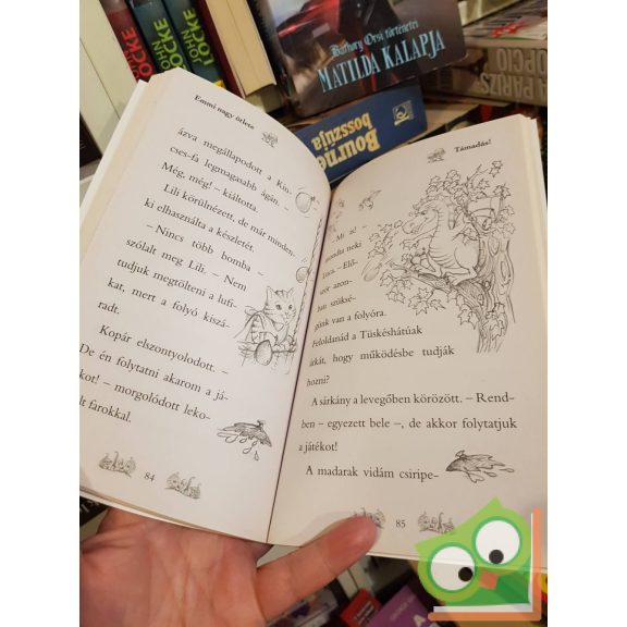 Daisy Meadows: Emmi nagy ötlete (Varázslatos Állatbirodalom 6.)