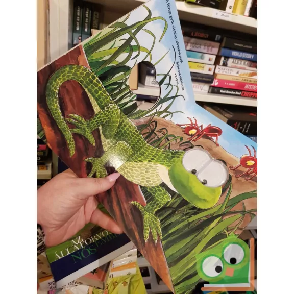 Erdei állatok - Nagyszemű lapozó (keménylapos) (ritka)