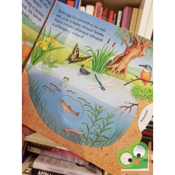 Ute Lutz: Erdőn, mezőn (Forgasd a korongot!) (Keménylapos) (ritka)