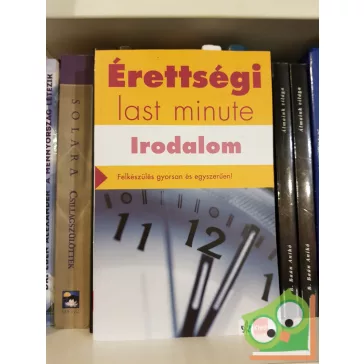 Diószegi Endre: Érettségi - Last Minute - Irodalom