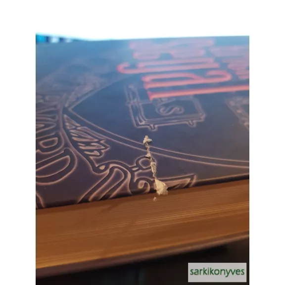 Erich Segal: Az elfelejtett kaland