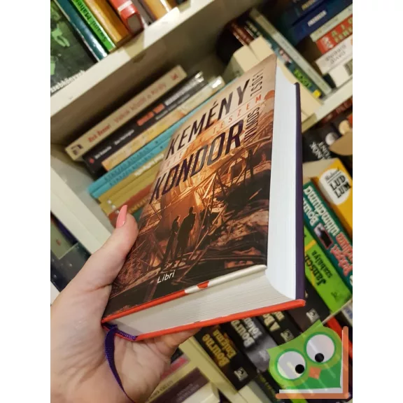 Kemény Zsófi, Kondor Vilmos: Értetek teszem