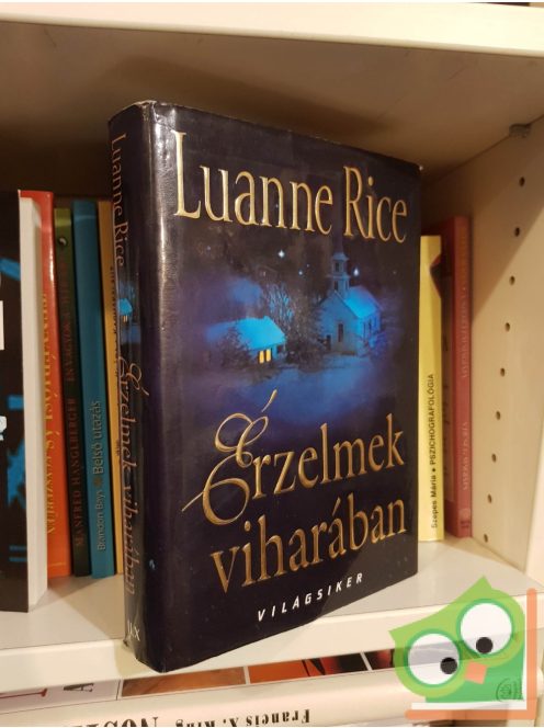 Luanne Rice: Érzelmek viharában (Világsiker)