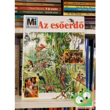 Alexandra Werdes: Esőerdők