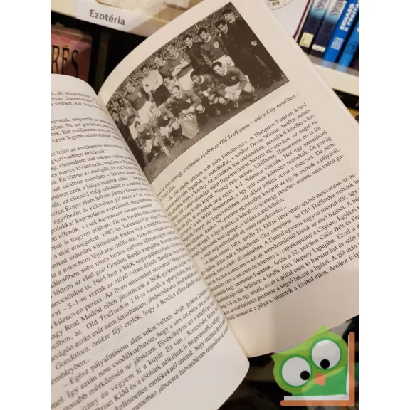 Dénes Tamás - Imre Mátyás: Európai aranylabdások