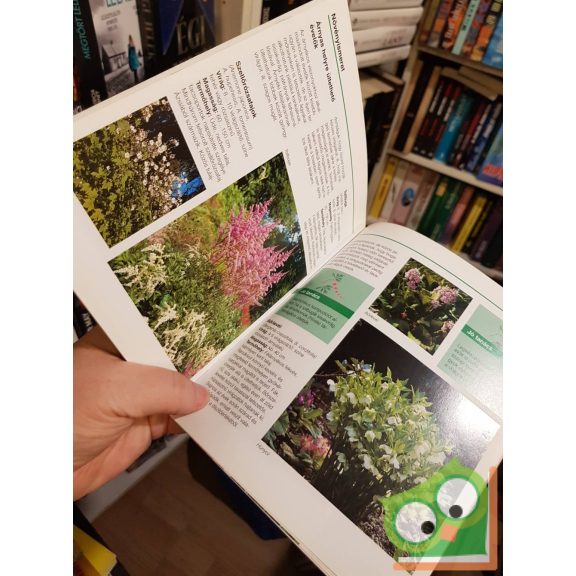 Max Kirschner: Évelőkert (Kertünk növényei)