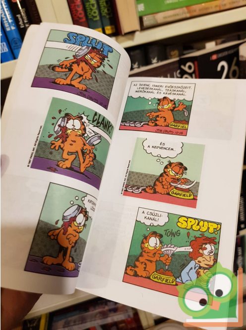 Jim Davis: Zseb-Garfield 68. Ez már fánk mennyország?