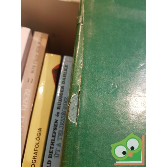 Alexandru Săşianu: Ezüst- és ónművesség a XVI-XIX. században (ritka)