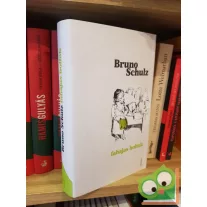 Bruno Schulz: Fahajas boltok