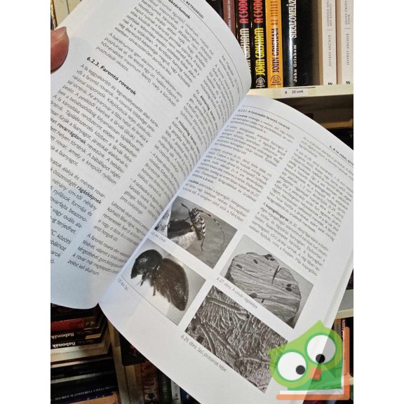 Veres Réka: Faipari anyagismeret (GS-4-16)