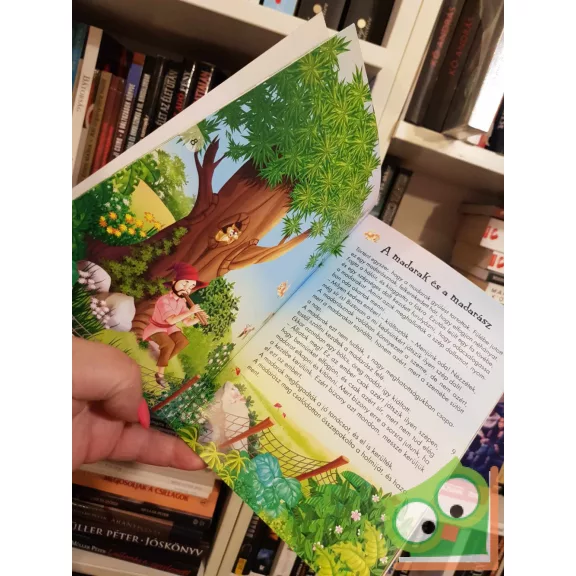 Pádár Éva (szerk.): A falánk kisegér és más történetek (Ötperces mesék 7)