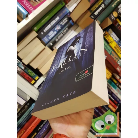 Lauren Kate: Kitaszítva (Fallen 1.)  (Ritka!)