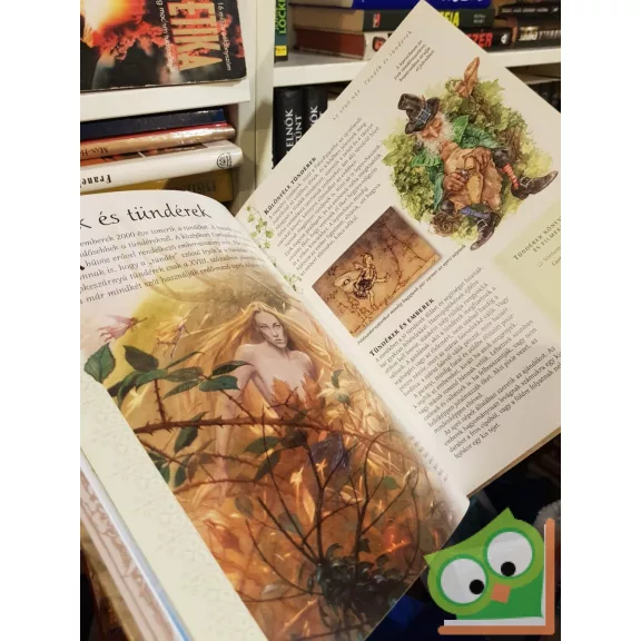 Judy Allen: Fantasy enciklopédia (ritka)