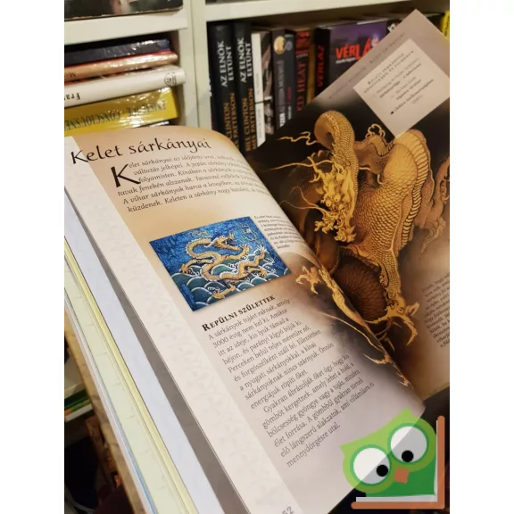 Judy Allen: Fantasy enciklopédia (ritka)