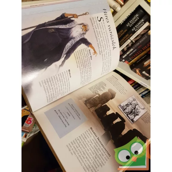 Judy Allen: Fantasy enciklopédia (ritka)