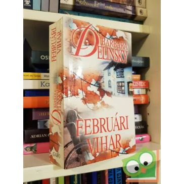 Barbara Delinsky: Februári vihar