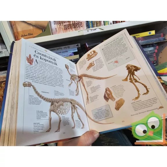 Fedezd fel a Világot! - Természet