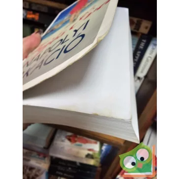 Fejős Éva: Nápolyi vakáció (Ladányi Niki 2.)