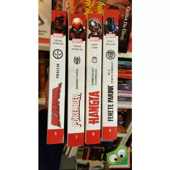 Jesse J. Holland: Fekete párduc - Ki a fekete párduc? (Marvel 9.)