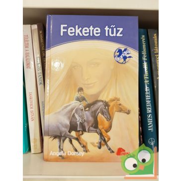 Angela Dorsey: Fekete tűz (Őrangyal 1.)