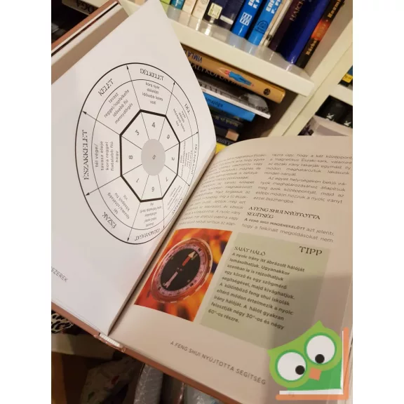 A feng shui kézikönyve
