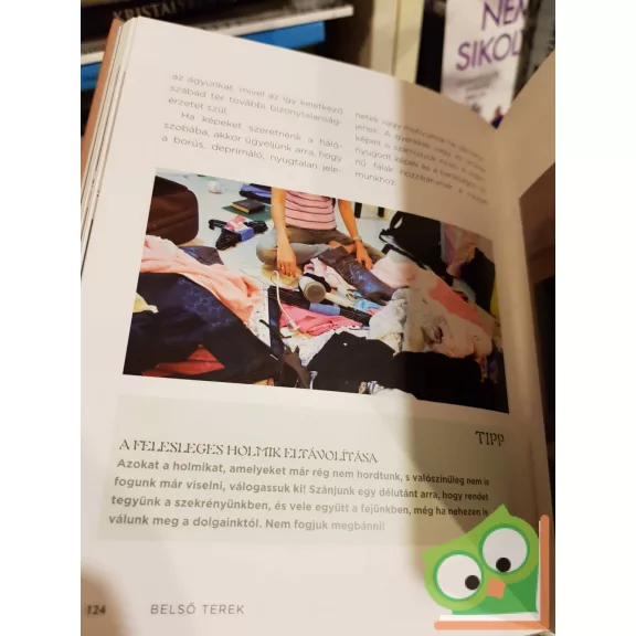 A feng shui kézikönyve