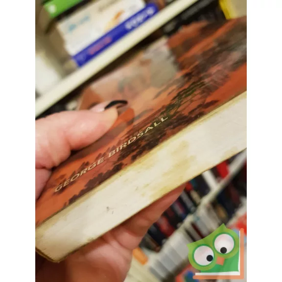 George Birdsall: Feng shui kézikönyv - Útmutató a térrendezés ősi művészetéhez