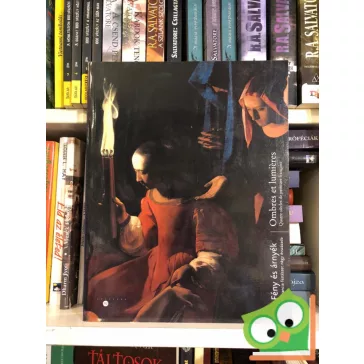   Jávor, Barkóczi, Starcky, Hergott, Schefer: Fény és árnyék - A francia festészet négy évszázada