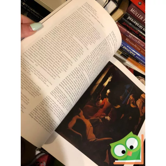 Jávor, Barkóczi, Starcky, Hergott, Schefer: Fény és árnyék - A francia festészet négy évszázada