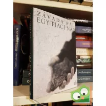 Závada Pál: A fényképész utókora