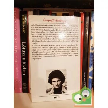 Jerzy Kosiński: A festett madár