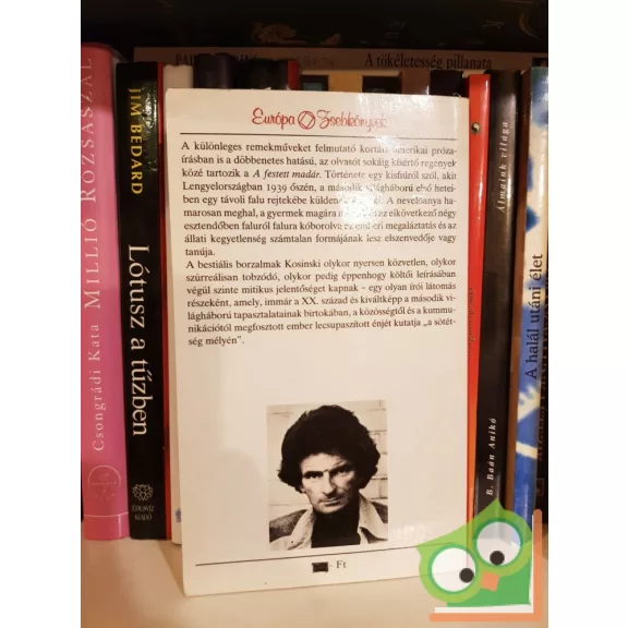 Jerzy Kosiński: A festett madár