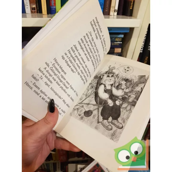 Fésűs Éva: Aranypofácska (ritka)