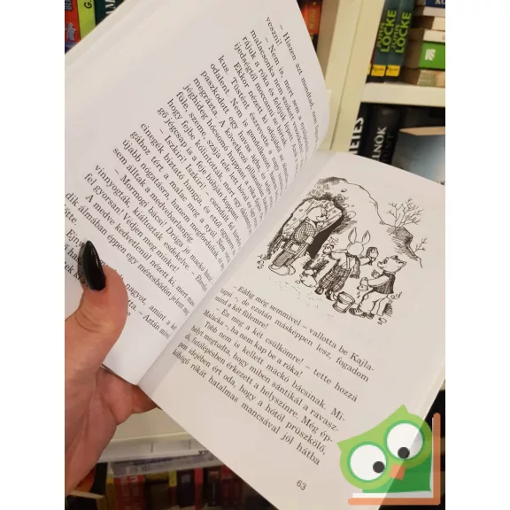 Fésűs Éva: Tündérjárta mesetájon (nagyon ritka)