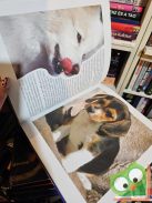 Angelica Roberts Fiatal ​kutyagazdik kézikönyve