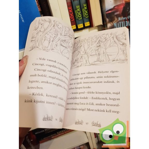 Daisy Meadows: Fifi bátor küldetése (Varázslatos Állatbirodalom különkiadás 1.)