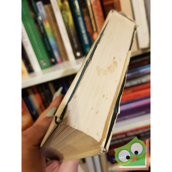 K. W. Butzer: A földfelszín formakincse