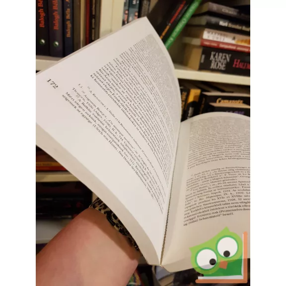 Fernand Braudel: A Földközi-tenger és a mediterrán világ II. Fülöp korában I. kötet (ritka)