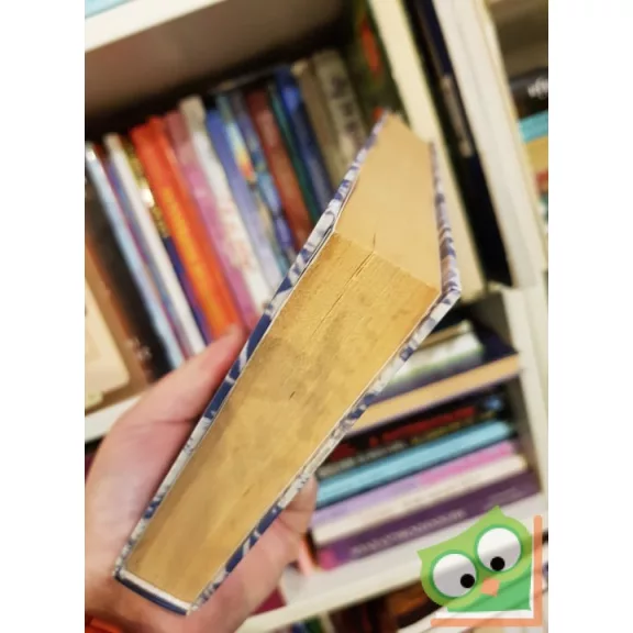 Ken Follett: Az ígéret földje