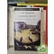 Ernest Hemingway: A folyón át a fák közé