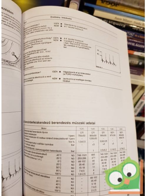 H.R. Etzold: Így csináld! - Ford Escort, Ford Orion