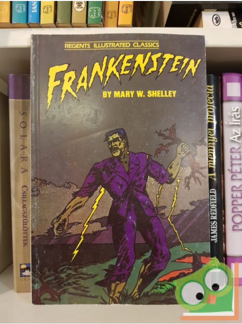 Mary Shelley: Frankenstein (Regents Illustrated Classics) képregény