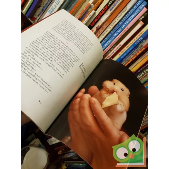 Magyar Eszter: Frici, Manó, Nudli és a többiek