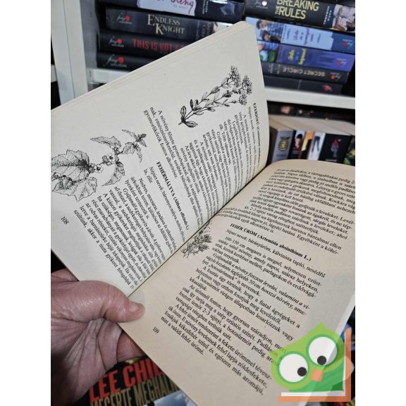 Máthé Ákos - Romváry Vilmos: Fűszerek és gyógyító növények a kertből (Kertmagyarország)