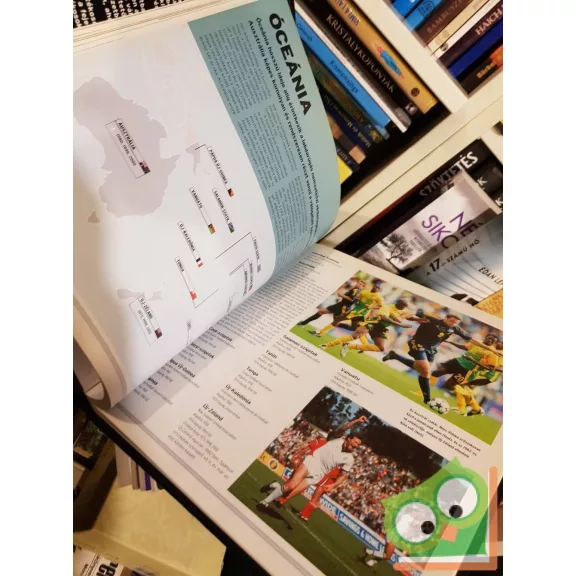 Keir Radnedge: A futball enciklopédiája