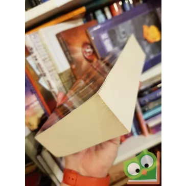   Gail Z. Martin: A hamu zsarnoksága (A Felvirágzó Birodalmak 2.)