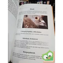   Ludwig Schrag: Galambbetegségek megelőzése, felismerése és kezelése (ritka)