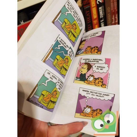 Jim Davis: Zseb-Garfield 104 - Fátylat a múltra