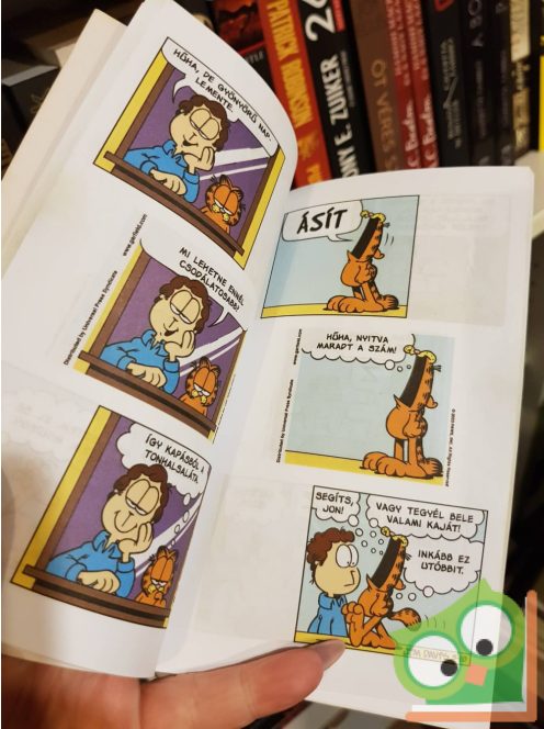 Jim Davis: Zseb-Garfield 110 - Brokkoli kizárva
